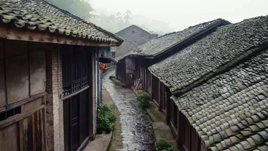 史小坑的爆笑生活10