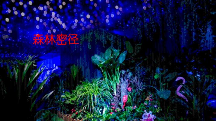 逃离违建房屋8